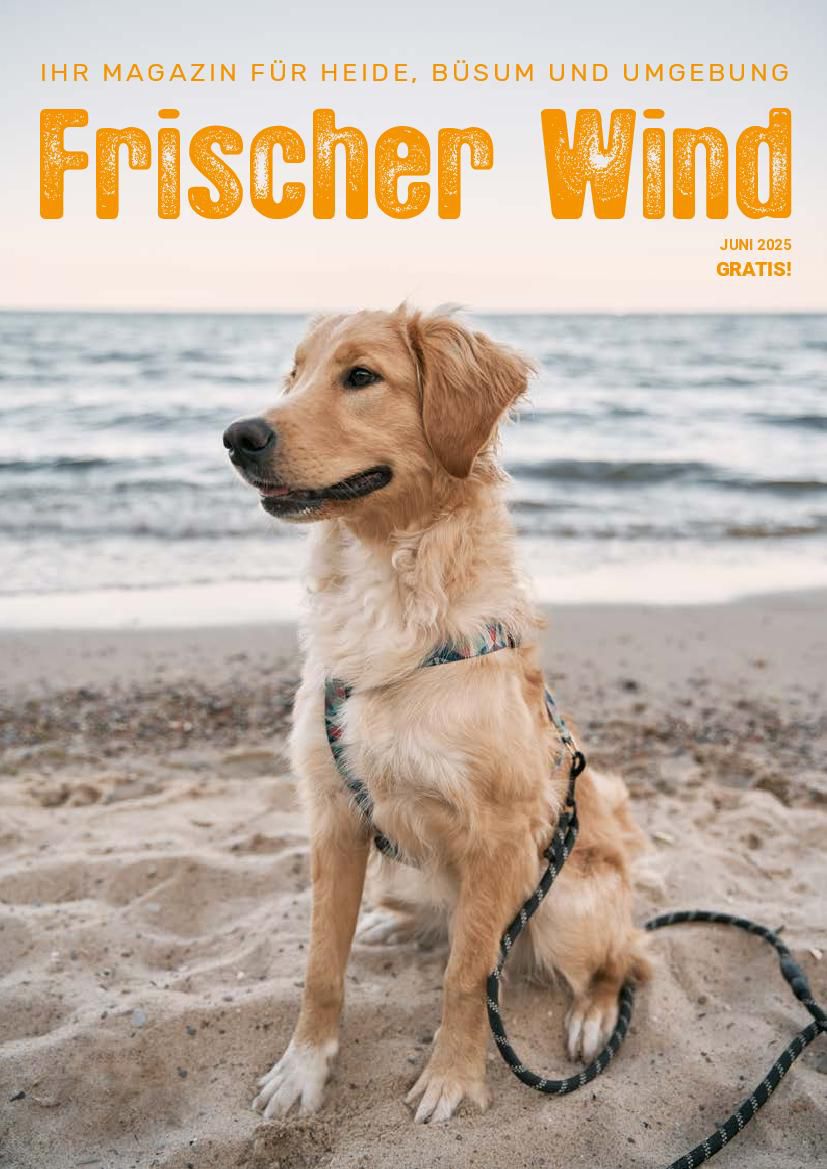Frischer Wind