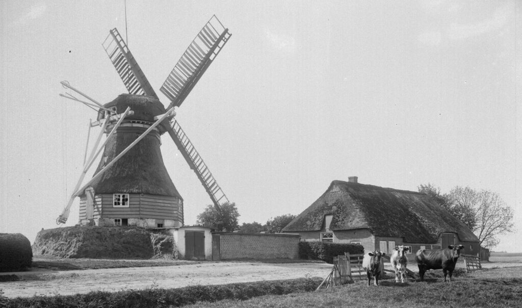 Von der Holländermühle zur Windkraftanlage