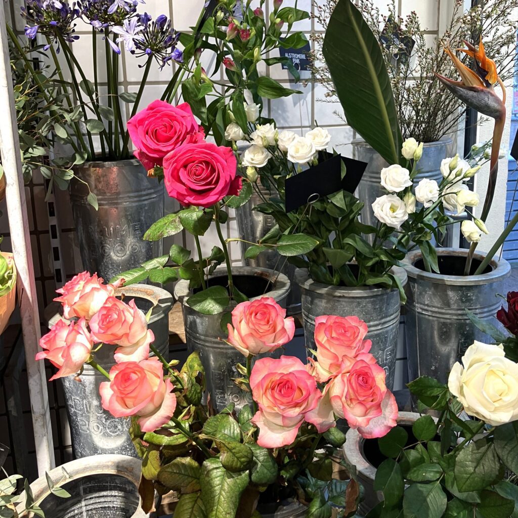 Heide: Geschenke zum Valentinstag